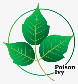 Transparent Poison Ivy Leaf, HD Png Download, Free Download