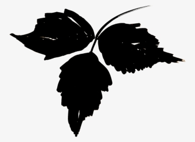 Transparent Poison Ivy Plant Png - Ivy Leaf Poison Ivy Silhouette, Png Download, Free Download