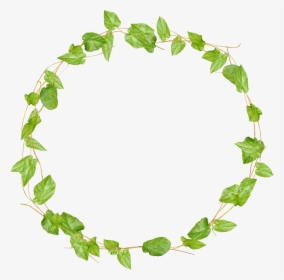 Ivy Border Png -ivy Clipart Watercolor - Leaves Circle Frame Png, Transparent Png, Free Download