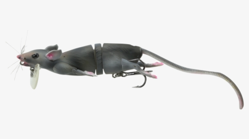 Savage Gear 3d Rat Floating Bait Topwater Wakebait"     - Rat 3d Png, Transparent Png, Free Download