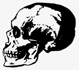 Creepy Side Skull - Illustration, HD Png Download, Free Download