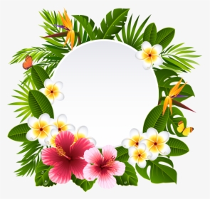 Frangipani Clipart Wreath - Hawaiian Flower Frame Png, Transparent Png, Free Download