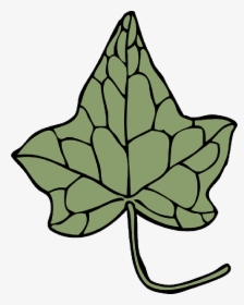 Ivy, Leaf, Flora, Botany, Nature, Natural - Alpha Kappa Alpha Leaf, HD Png Download, Free Download