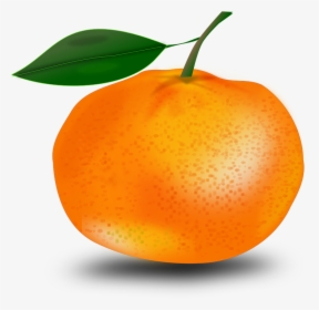Tangerine, Orange, Mandarin, Mandarin Orange - Imagenes De Mandarina Animado, HD Png Download, Free Download