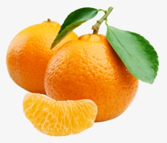 Мандарин, Плод Дерева Мандарин, Цитрусовые, Fruit Of - Mandarin Orange, HD Png Download, Free Download