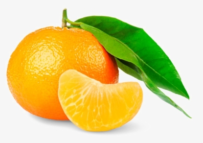 Mandarin Orange Png High-quality Image - Mandarini In Png, Transparent Png, Free Download