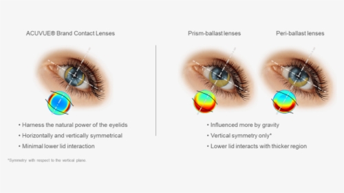 Toric Contact Lens Design Differences - Eyelash Extensions, HD Png Download, Free Download