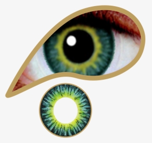 Contact Lenses Green, HD Png Download, Free Download