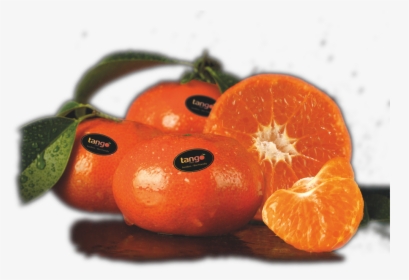Clip Art Tango Fruit Mandarina G - Tango Fruit, HD Png Download, Free Download