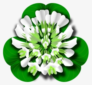White Clover Clipart, HD Png Download, Free Download