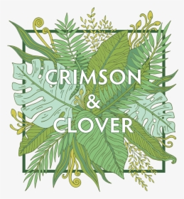 Clover Flower Png, Transparent Png, Free Download