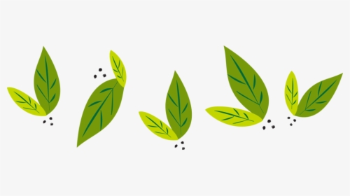 Leafs, HD Png Download, Free Download