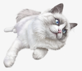 Cat Png - White Cat Transparent Background, Png Download, Free Download