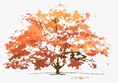 Fall Tree Colors Maple Nature Clipart Transparent Png - Trees Look In Different Seasons, Png Download, Free Download