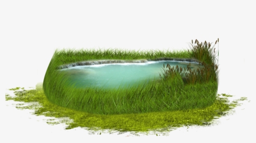 Pond With Grass Png Transparent Image - Pond, Png Download, Free Download