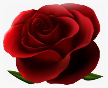 Transparent Red Roses Border Png - Red Rose No Background, Png Download, Free Download