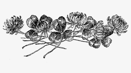 Black And White Botanical Png, Transparent Png, Free Download