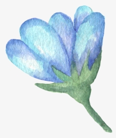 Hand Painted Blue Flower Watercolor Transparent - Illustration, HD Png Download, Free Download