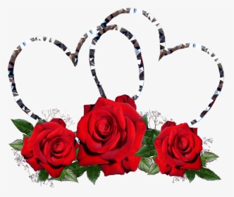 Rosas Vermelhas, Corações, Valentim - Motherhood Mother's Day Inspirational Message, HD Png Download, Free Download