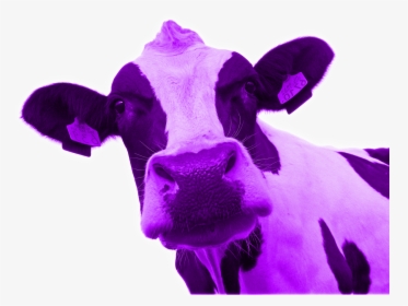 Cerveza Artesana Dolina - Purple Cow Png, Transparent Png, Free Download