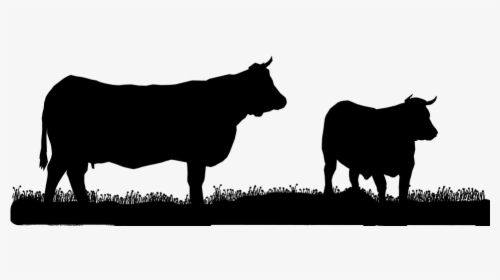 Francia, Normandía, Vaca De Carne, Textura, Vacas - Cow Head Silhouette Transparent Background, HD Png Download, Free Download