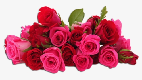 #flores #rosas #vermelha #rad - Wedding Pink Roses Png, Transparent Png, Free Download