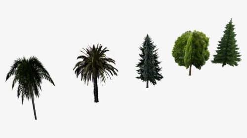 Njorahx - Low Poly Trees Billboard, HD Png Download, Free Download
