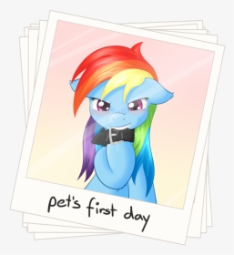 Mlp Pet Rainbow Dash, HD Png Download, Free Download