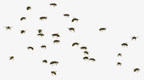 Bee, Insect, Swarm Behaviour, Line, Sky Png Image With - Swarm Of Bees Png, Transparent Png, Free Download