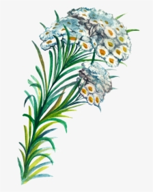 Hand Painted Plant Cartoon Transparent Watercolor Png - Plants Hand Painted Png, Png Download, Free Download