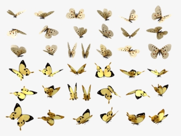 Butterflies, Butterfly, Swarm, Insect, Bug, Pretty - Butterfly Swarm, HD Png Download, Free Download