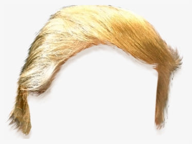 Haircut Clipart Trump - Donald Trump Hair Cut Out, HD Png Download, Free Download