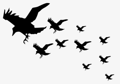 Flying Crow Silhouette Transparent, HD Png Download, Free Download