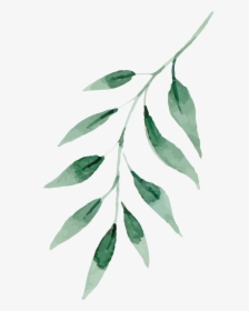Watercolor Painting Drawing Leaf - Watercolor Green Leaves Png, Transparent Png, Free Download
