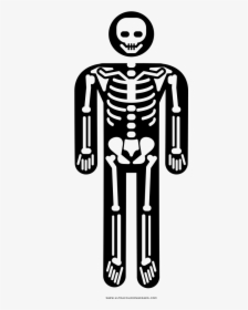 Esqueleto Página Para Colorear - Dibujos De Esqueleto Para Colorear, HD Png Download, Free Download