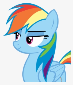 Rainbow Dash Wiki - Mlp Rainbow Dash X Quibble Pants, HD Png Download, Free Download