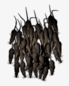 Swarm Of Rats Png, Transparent Png, Free Download