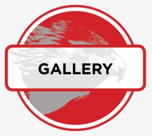 Gallery Red Icon Png , Png Download - Transparent Photo Gallery Icon, Png Download, Free Download