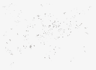 Bird, HD Png Download, Free Download