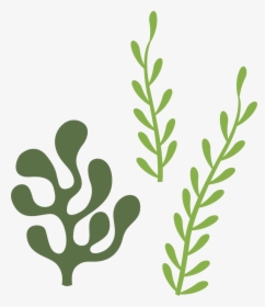 Transparent Seaweed Clipart - Seaweed Svg, HD Png Download, Free Download
