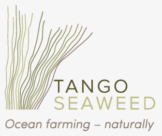 Tangos Seaweed Slagord - Guitar String, HD Png Download, Free Download