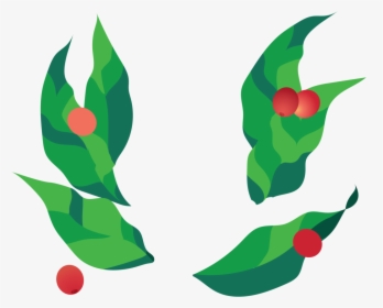 Coffee Plant Animation Png, Transparent Png, Free Download