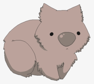 Wombat Cartoon Drawing - Wombat Clipart, HD Png Download, Free Download