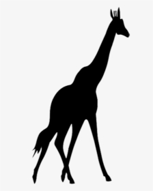 Silhouette Zoo Animals Png, Transparent Png, Free Download