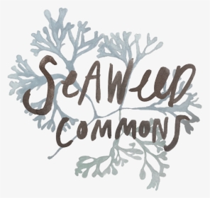 Seaweed Commons - Calligraphy, HD Png Download, Free Download