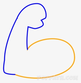 Drawn Mussel Right Arm - Draw A Muscle Arm, HD Png Download, Free Download