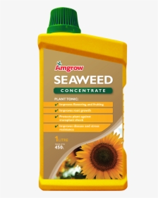 Seaweed Concentrate, HD Png Download, Free Download