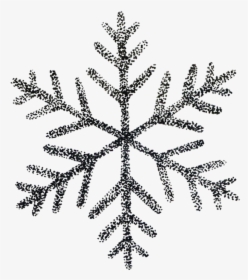 Snowflake - Snowflake - Snowflake - Black And White - Transparent Background Snowflake Clipart, HD Png Download, Free Download