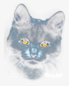 Chartreux, HD Png Download, Free Download