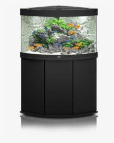 Jewel Aquariums Trigon 190 Cichlid Setup Rock Plants - Juwel Trigon 190, HD Png Download, Free Download